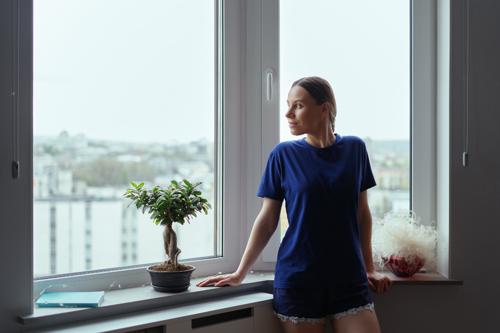 Eau Claire Window Styles